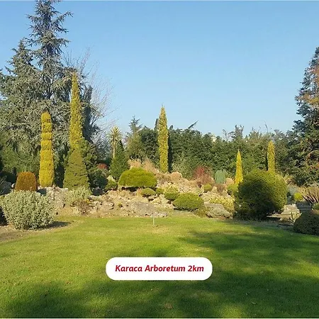 Yalova Lova & Yalova 4*