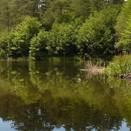 호텔 Lova & 얄로바